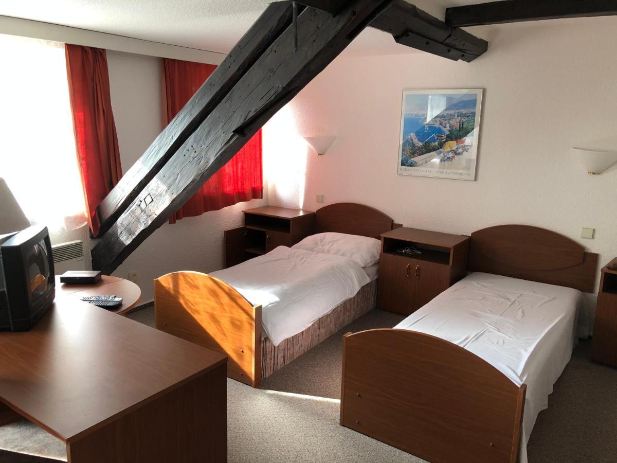 Penzion Tamara Vilemov  Buitenkant foto